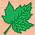 Oak Leaf