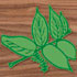 Walnut Leaf